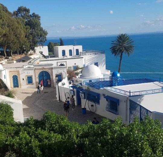 Туры в Хаммамет 2025 - цены на путевки в Тунис из Москвы от туроператора «Пегас Туристик»