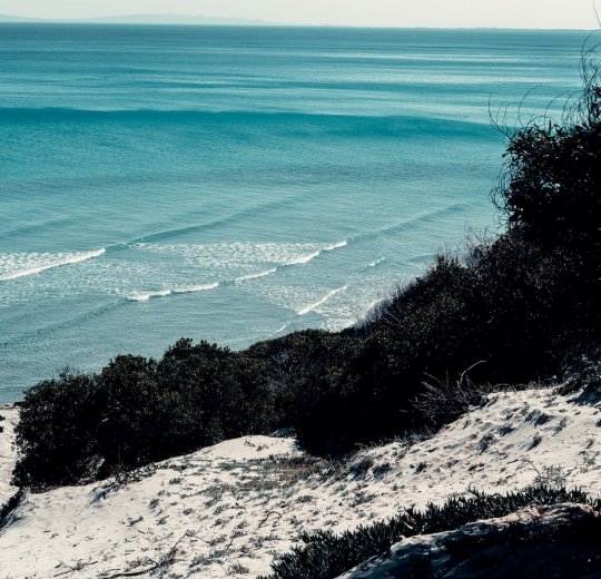 Туры в Хаммамет 2025 - цены на путевки в Тунис из Москвы от туроператора «Пегас Туристик»