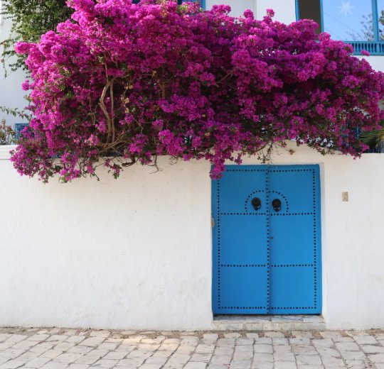 Туры в Дуз 2025 - цены на путевки в Тунис из Москвы от туроператора «Пегас Туристик» Туры в Дуз 2025 - цены на путевки в Тунис из Москвы от туроператора «Пегас Туристик»