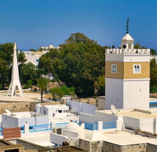 Туры в Ла Гулетт 2025 - цены на путевки в Тунис из Москвы от туроператора «Пегас Туристик»