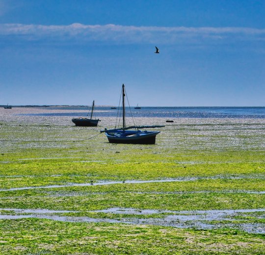 Туры в Седрию Бич 2025 - цены на путевки в Тунис из Москвы от туроператора «Пегас Туристик» Туры в Седрию Бич 2025 - цены на путевки в Тунис из Москвы от туроператора «Пегас Туристик»