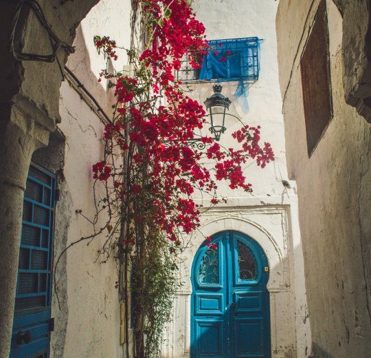 Туры в Табарку 2025 - цены на путевки в Тунис из Москвы от туроператора «Пегас Туристик» Туры в Табарку 2025 - цены на путевки в Тунис из Москвы от туроператора «Пегас Туристик»