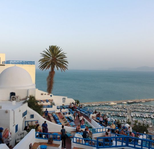 Туры в Табарку 2025 - цены на путевки в Тунис из Москвы от туроператора «Пегас Туристик» Туры в Табарку 2025 - цены на путевки в Тунис из Москвы от туроператора «Пегас Туристик»