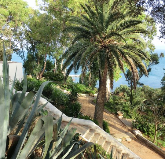 Туры в Табарку 2025 - цены на путевки в Тунис из Москвы от туроператора «Пегас Туристик» Туры в Табарку 2025 - цены на путевки в Тунис из Москвы от туроператора «Пегас Туристик»