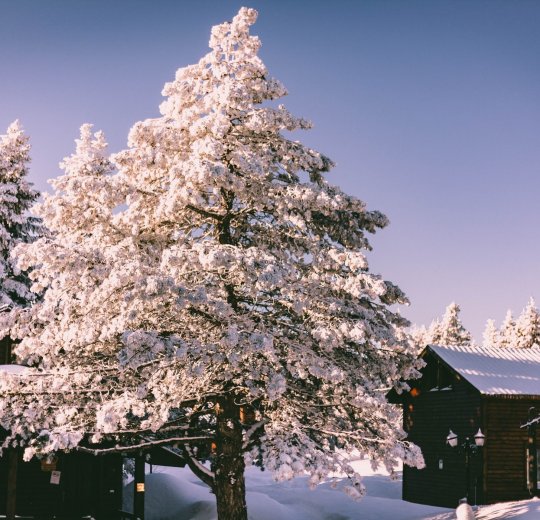 Туры в Бурсу 2025 - цены на путевки в Турцию из Москвы от туроператора «Пегас Туристик»