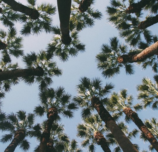 Туры в Измир 2025 - цены на путевки в Турцию из Москвы от туроператора «Пегас Туристик»