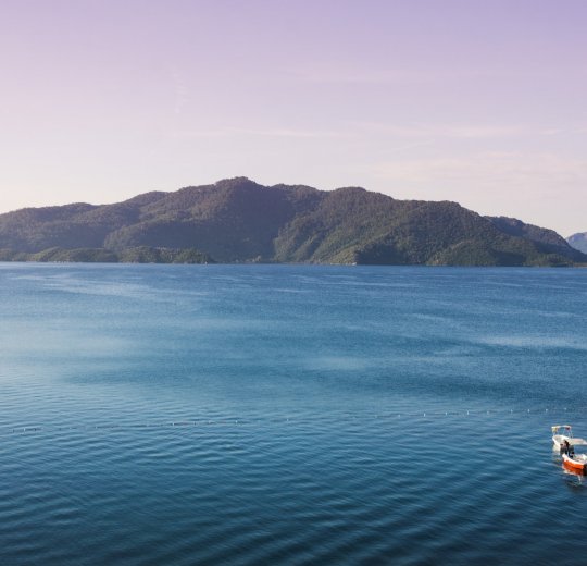 Туры в Мармарис 2025 - цены на путевки в Турцию из Москвы от туроператора «Пегас Туристик» Туры в Мармарис 2025 - цены на путевки в Турцию из Москвы от туроператора «Пегас Туристик»