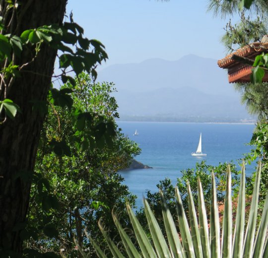 Туры в Даламан 2025 - цены на путевки в Турцию из Москвы от туроператора «Пегас Туристик» Туры в Даламан 2025 - цены на путевки в Турцию из Москвы от туроператора «Пегас Туристик»