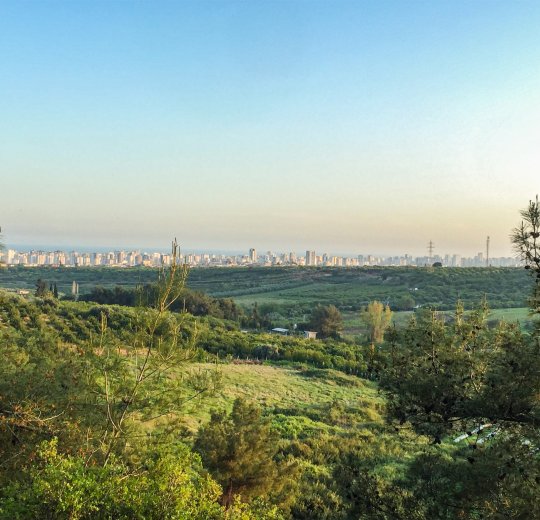 Туры в Мерсин 2025 - цены на путевки в Турцию из Москвы от туроператора «Пегас Туристик»