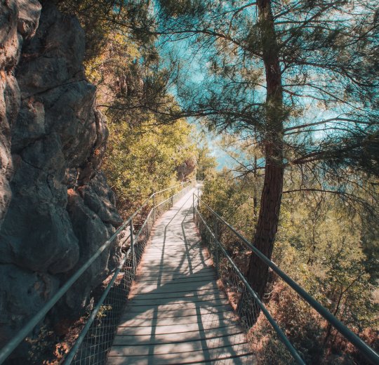 Туры в Сарикамыш 2025 - цены на путевки в Турцию из Москвы от туроператора «Пегас Туристик»