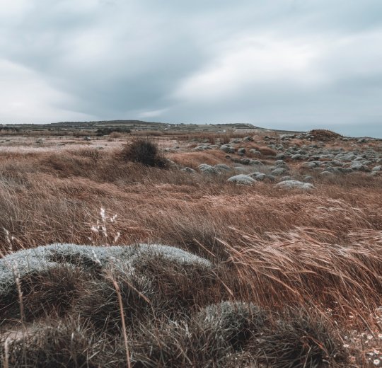 Туры в Чанаккале 2025 - цены на путевки в Турцию из Москвы от туроператора «Пегас Туристик» Туры в Чанаккале 2025 - цены на путевки в Турцию из Москвы от туроператора «Пегас Туристик»