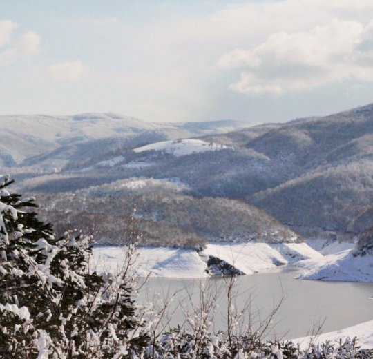 Туры в Ялову 2025 - цены на путевки в Турцию из Москвы от туроператора «Пегас Туристик»