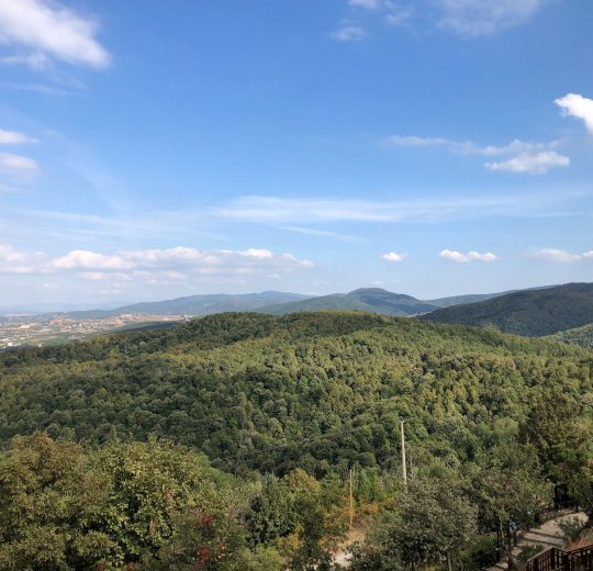 Туры в Ялову 2025 - цены на путевки в Турцию из Москвы от туроператора «Пегас Туристик»