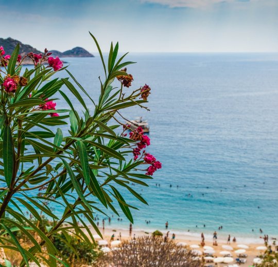 Туры в Калкан 2025 - цены на путевки в Турцию из Москвы от туроператора «Пегас Туристик» Туры в Калкан 2025 - цены на путевки в Турцию из Москвы от туроператора «Пегас Туристик»