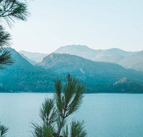 Туры в Манавгат 2025 - цены на путевки в Турцию из Москвы от туроператора «Пегас Туристик»