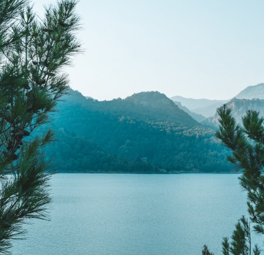 Туры в Манавгат 2025 - цены на путевки в Турцию из Москвы от туроператора «Пегас Туристик»