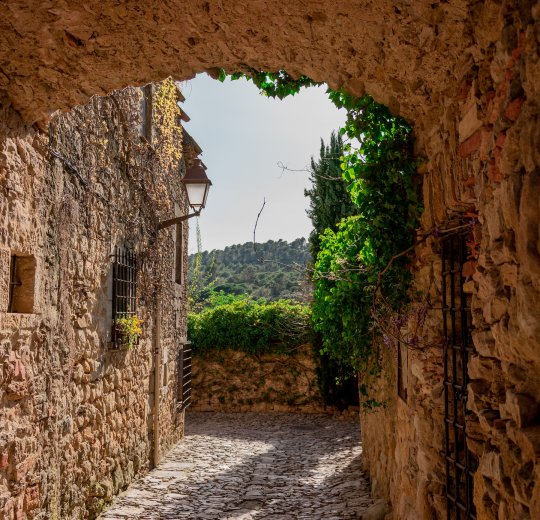 Туры 2025 - цены на путевки в Андорру из Москвы от туроператора «Пегас Туристик» Туры 2025 - цены на путевки в Андорру из Москвы от туроператора «Пегас Туристик»