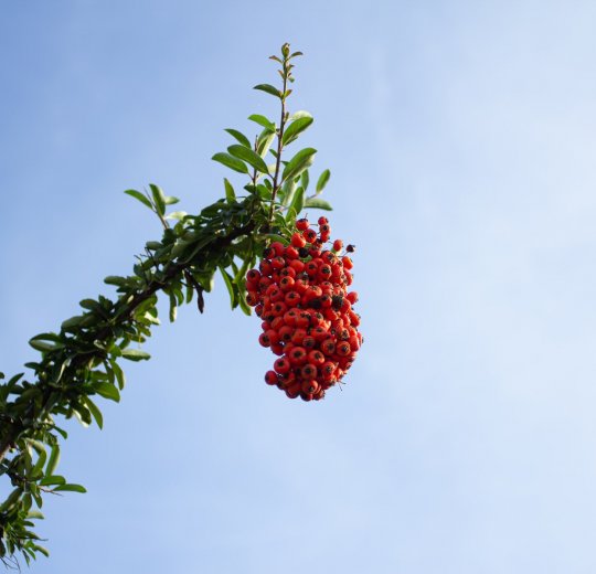 Туры в Витязево 2025 - цены на путевки по России из Москвы от туроператора «Пегас Туристик»