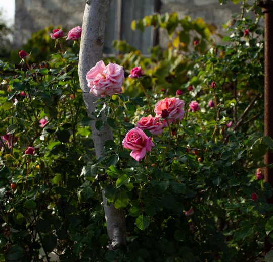 Туры в Витязево 2025 - цены на путевки по России из Москвы от туроператора «Пегас Туристик»