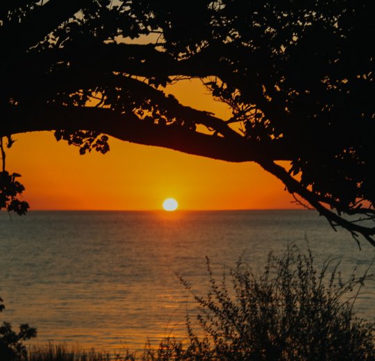 Туры в Витязево 2025 - цены на путевки по России из Москвы от туроператора «Пегас Туристик»