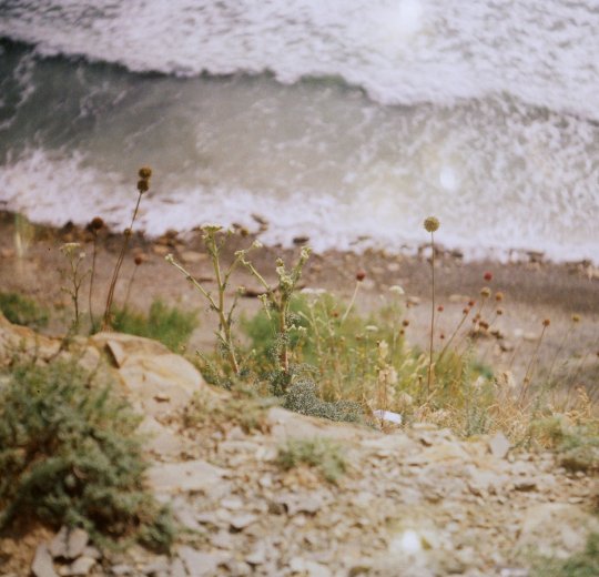 Туры в Витязево 2025 - цены на путевки по России из Москвы от туроператора «Пегас Туристик»