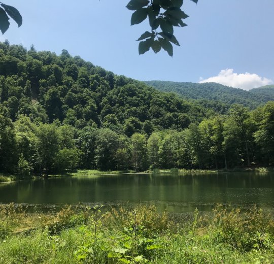 Туры  2025 - цены на путевки в Армению из Москвы от туроператора «Пегас Туристик»