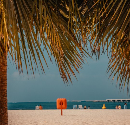 Туры Дубай-Сити (Дейра) 2025 - цены на путевки в ОАЭ из Москвы от туроператора «Пегас Туристик»