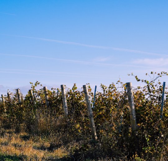Туры в Ейск 2025 - цены на путевки по России из Москвы от туроператора «Пегас Туристик»