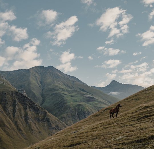 Туры на Кавказ 2025 - цены на путевки по России из Москвы от туроператора «Пегас Туристик»