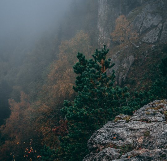 Туры в Лагонаки 2025 - цены на путевки по России из Москвы от туроператора «Пегас Туристик»