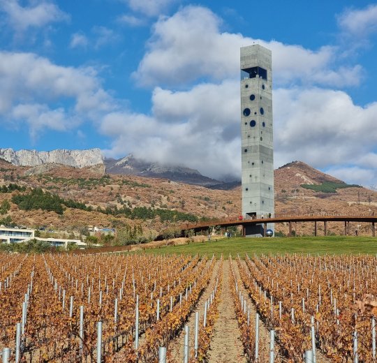 Туры в Массандру 2025 - цены на путевки по России из Москвы от туроператора «Пегас Туристик»