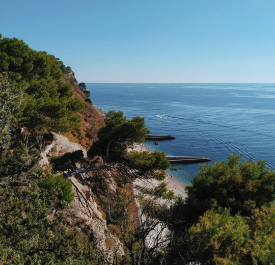 Туры в Массандру 2025 - цены на путевки по России из Москвы от туроператора «Пегас Туристик»