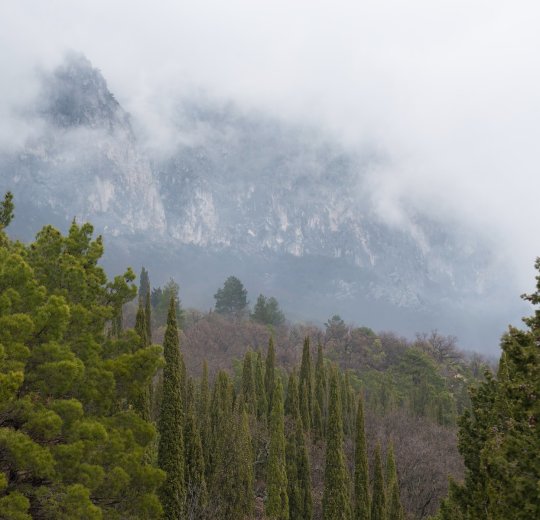 Туры в Массандру 2025 - цены на путевки по России из Москвы от туроператора «Пегас Туристик»