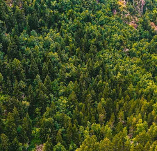 Туры 2025 - цены на путевки в Андорру из Москвы от туроператора «Пегас Туристик» Туры 2025 - цены на путевки в Андорру из Москвы от туроператора «Пегас Туристик»