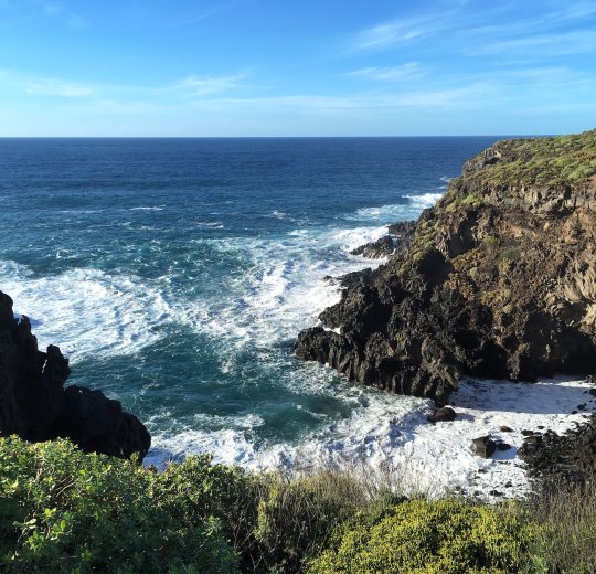 Туры в Плая-дель-Кармен 2025 - цены на путевки в Мексику из Москвы от туроператора «Пегас Туристик» Туры в Плая-дель-Кармен 2025 - цены на путевки в Мексику из Москвы от туроператора «Пегас Туристик»