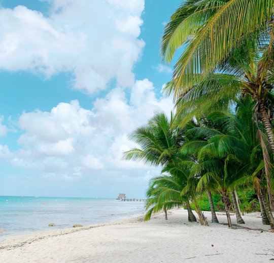 Туры в Плая-дель-Кармен 2025 - цены на путевки в Мексику из Москвы от туроператора «Пегас Туристик» Туры в Плая-дель-Кармен 2025 - цены на путевки в Мексику из Москвы от туроператора «Пегас Туристик»