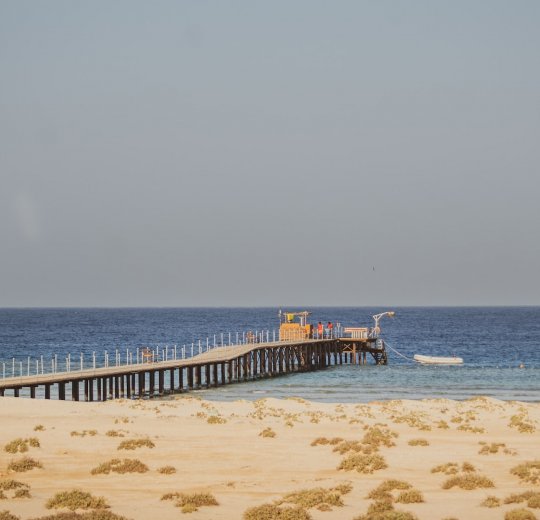 Туры в Сахл Хашиш 2025 - цены на путевки в Египет из Москвы от туроператора «Пегас Туристик»