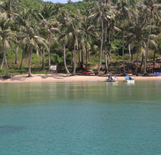 Туры  2025 - цены на путевки во Вьетнам из Москвы от туроператора «Пегас Туристик»