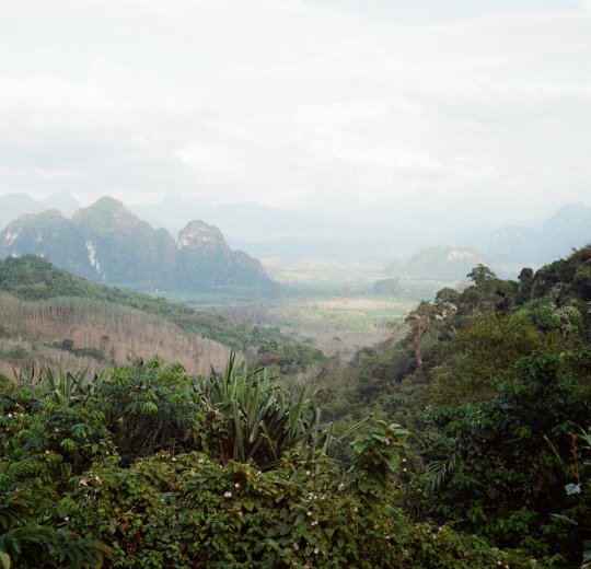 Туры 2025 - цены на путевки в Таиланд из Москвы от туроператора «Пегас Туристик» Туры 2025 - цены на путевки в Таиланд из Москвы от туроператора «Пегас Туристик»