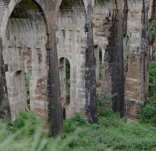 Туры в Бентоту 2025 - цены на путевки на Шри Ланку из Москвы от туроператора «Пегас Туристик»