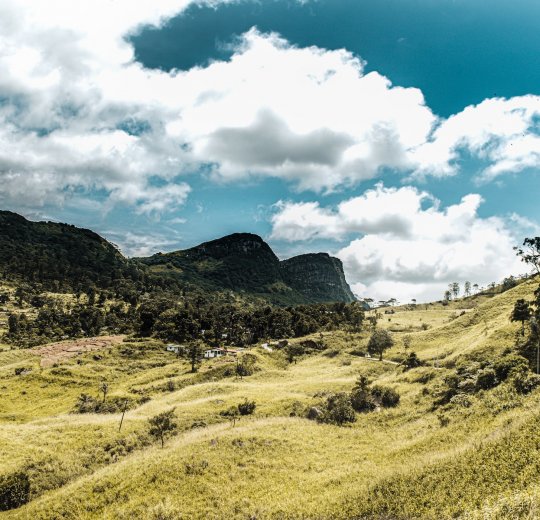 Туры в Бентоту 2025 - цены на путевки на Шри Ланку из Москвы от туроператора «Пегас Туристик»