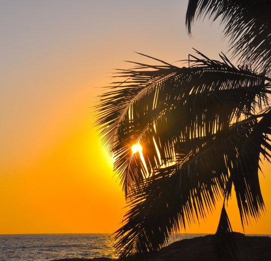 Туры в Бентоту 2025 - цены на путевки на Шри Ланку из Москвы от туроператора «Пегас Туристик»