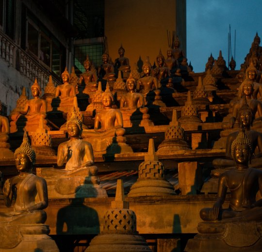 Туры в Коломбо 2025 - цены на путевки на Шри Ланку из Москвы от туроператора «Пегас Туристик» Туры в Коломбо 2025 - цены на путевки на Шри Ланку из Москвы от туроператора «Пегас Туристик»