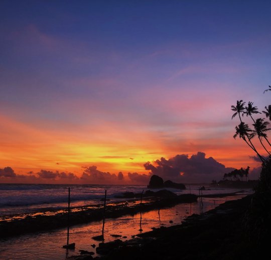 Туры в Коломбо 2025 - цены на путевки на Шри Ланку из Москвы от туроператора «Пегас Туристик» Туры в Коломбо 2025 - цены на путевки на Шри Ланку из Москвы от туроператора «Пегас Туристик»