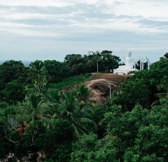 Туры в Канди 2025 - цены на путевки на Шри Ланку из Москвы от туроператора «Пегас Туристик» Туры в Канди 2025 - цены на путевки на Шри Ланку из Москвы от туроператора «Пегас Туристик»