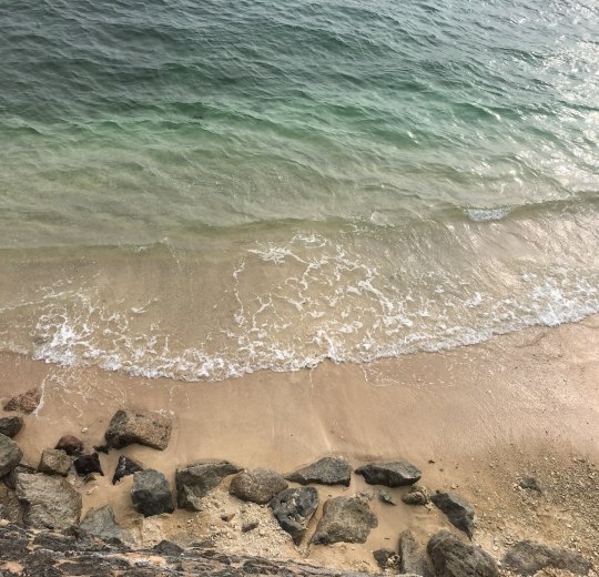 Туры в Канди 2025 - цены на путевки на Шри Ланку из Москвы от туроператора «Пегас Туристик» Туры в Канди 2025 - цены на путевки на Шри Ланку из Москвы от туроператора «Пегас Туристик»