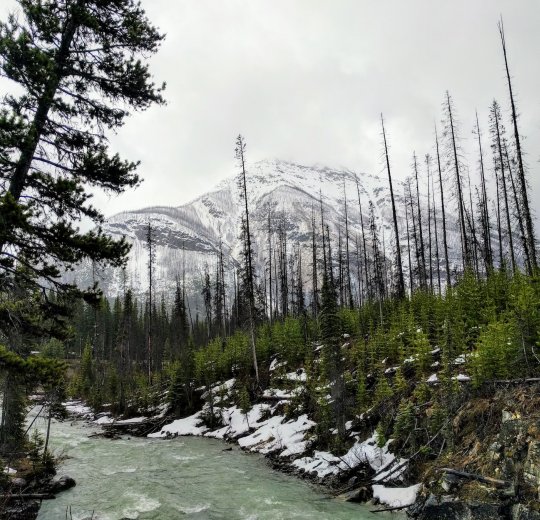 Туры  2025 - цены на путевки на Ямайку из Москвы от туроператора «Пегас Туристик»