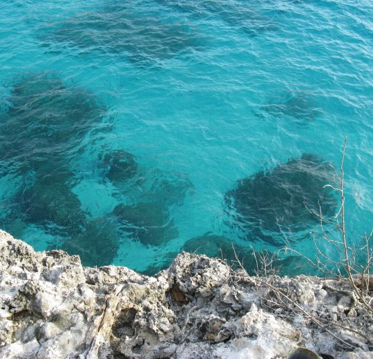 Туры 2025 - цены на путевки на Ямайку из Москвы от туроператора «Пегас Туристик» Туры 2025 - цены на путевки на Ямайку из Москвы от туроператора «Пегас Туристик»