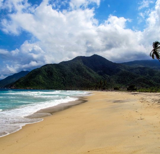 Туры в Валенсию 2025 - цены на путевки в Венесуэлу из Москвы от туроператора «Пегас Туристик» Туры в Валенсию 2025 - цены на путевки в Венесуэлу из Москвы от туроператора «Пегас Туристик»