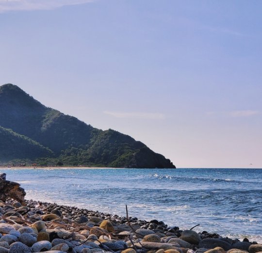 Туры в Дель Ориноко 2025 - цены на путевки в Венесуэлу из Москвы от туроператора «Пегас Туристик» Туры в Дель Ориноко 2025 - цены на путевки в Венесуэлу из Москвы от туроператора «Пегас Туристик»